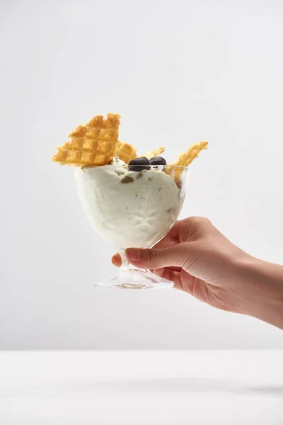 와플과 블루베리와 맛있는 피스타치오 아이스크림을 여성의 시야를 회색으로 분리한 — 스톡 사진