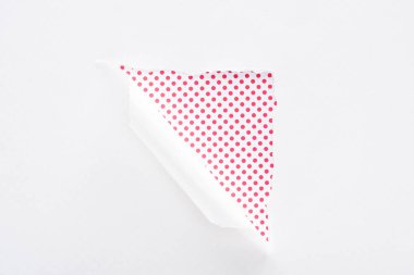 pembe noktalı renkli arka plan üzerinde beyaz yırtık ve haddelenmiş kağıt