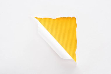 renkli sarı çizgili arka plan üzerinde beyaz yırtık ve haddelenmiş kağıt