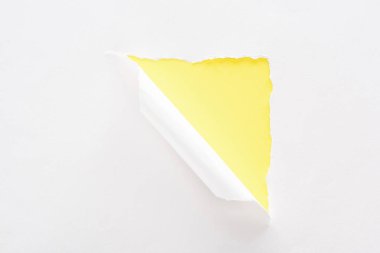renkli neon sarı arka plan üzerinde beyaz yırtık ve haddelenmiş kağıt