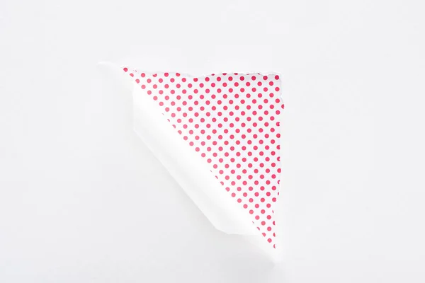 White Torn Rolled Paper Pink Dotted Colorful Background — Stock Photo, Image