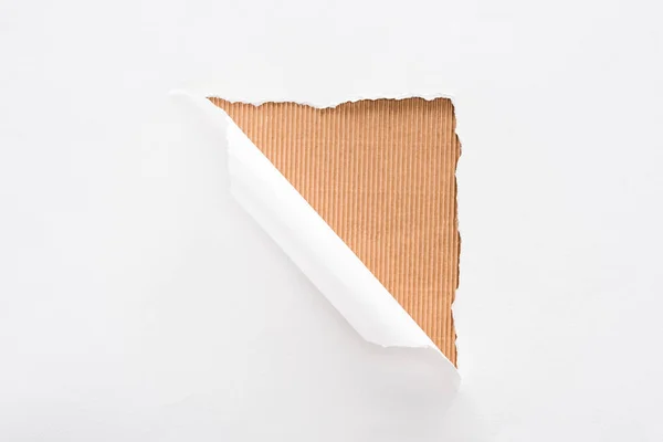 ベージュのストライプの背景に白い破れ 巻かれた紙 — ストック写真