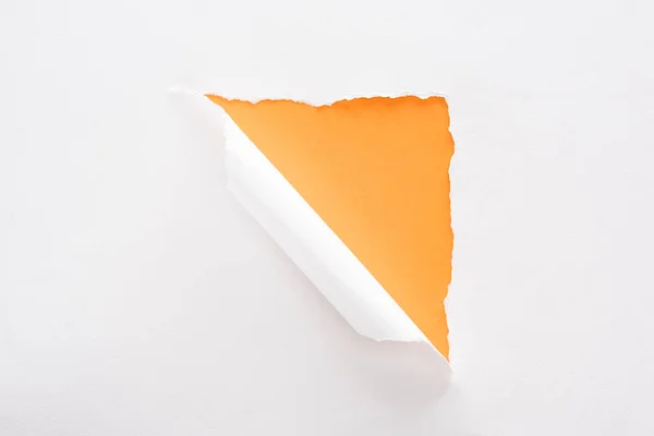 White Torn Rolled Paper Colorful Orange Background — Stock Photo, Image