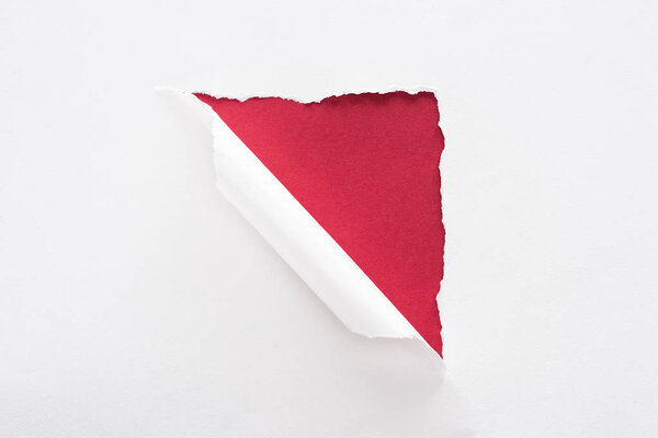 white torn and rolled paper on deep red background