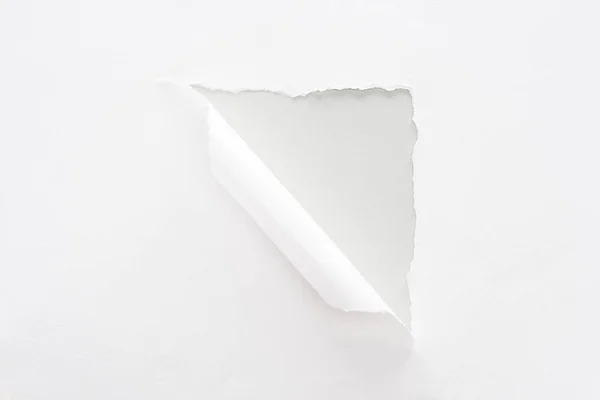 White Torn Rolled Paper Grey Background — Stock Photo, Image