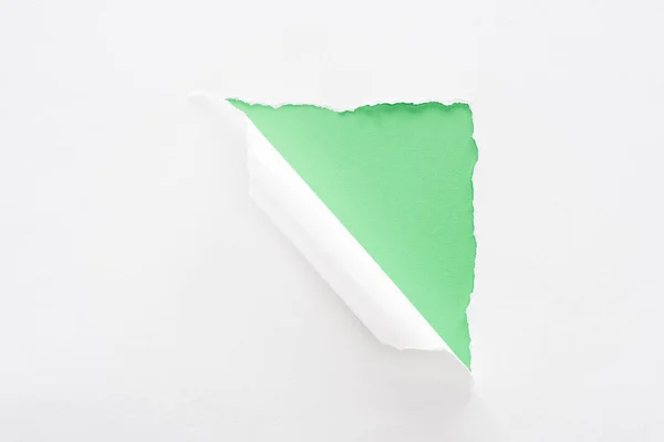 Papel Rasgado Rolado Branco Sobre Fundo Verde Brilhante — Fotografia de Stock