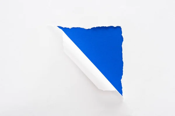 Blanco Rasgado Papel Enrollado Sobre Fondo Colorido Azul Eléctrico — Foto de Stock