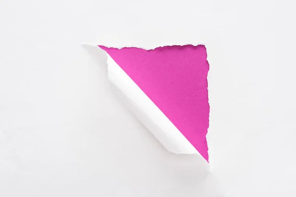 Bianco Strappato Rotolato Carta Sfondo Rosa Colorato — Foto Stock