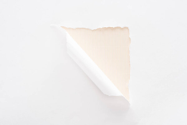 white torn and rolled paper on beige background