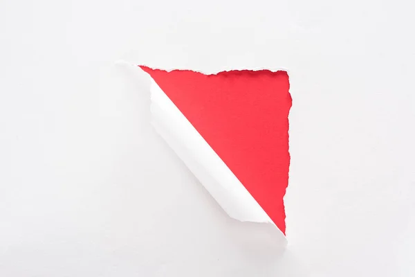 Kırmızı Renkli Arka Plan Üzerinde Beyaz Yırtık Haddelenmiş Kağıt — Stok fotoğraf