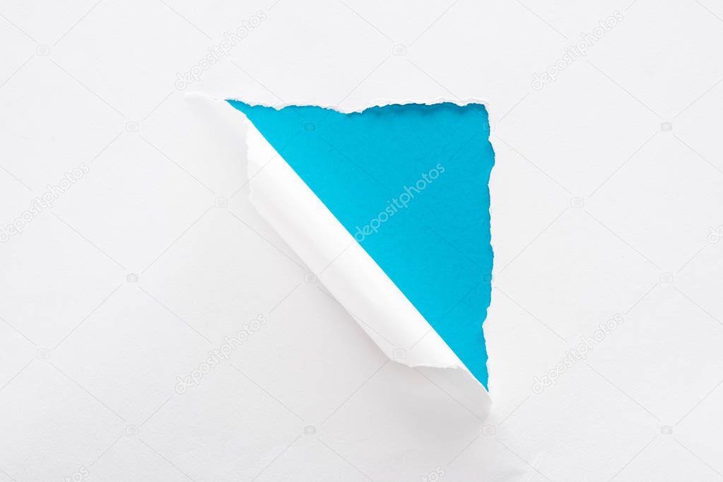 white torn and rolled paper on blue colorful background