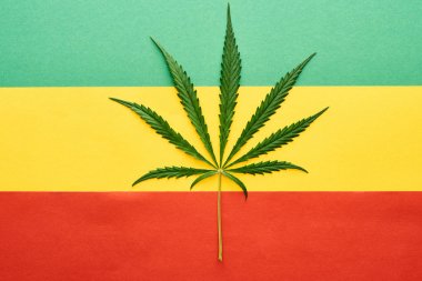 top view of cannabis leaf on Rastafarian flag background clipart