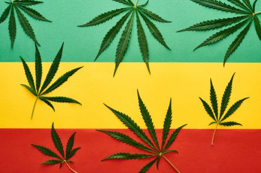 Rastafarian bayrak arka plan üzerinde esrar yaprakları üst görünümü