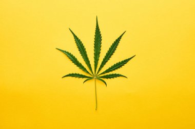 top view of green hemp leaf isolated on yellow clipart