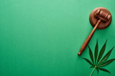 top view of green cannabis leaf near wooden gavel on green background with copy space clipart
