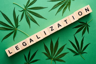 top view of green cannabis leaves and legalization word on wooden blocks on green background clipart