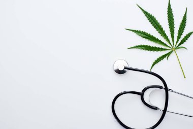 beyaz arka plan üzerinde stetoskop yakın tıbbi kenevir yaprağı üst görünümü