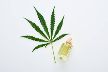 beyaz arka plan üzerinde şişe cbd yağı yakınında tıbbi kenevir yaprağı üst görünümü