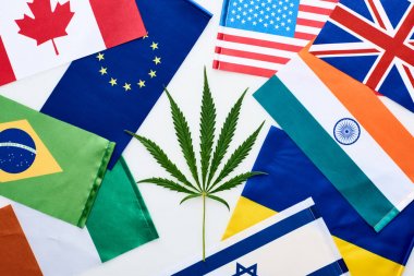 top view of green cannabis leaf near national flags on white background clipart