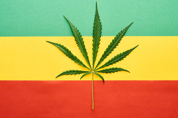 top view of cannabis leaf on Rastafarian flag background