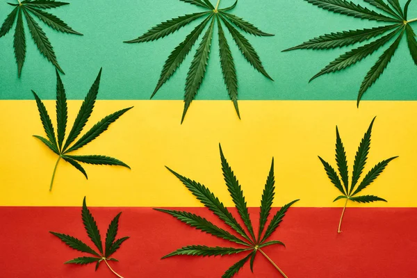 Top View Cannabis Leaves Rastafarian Flag Background — Stock Photo, Image