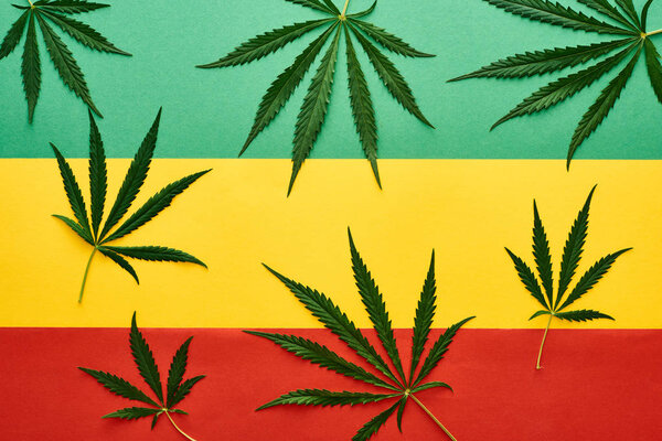 top view of cannabis leaves on Rastafarian flag background