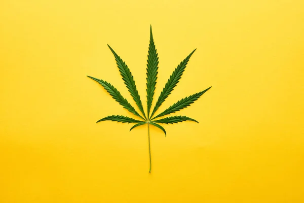 Top View Green Hemp Leaf Isolated Yellow — Stock Photo, Image