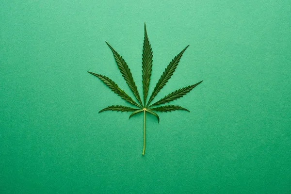 Top View Green Hemp Leaf Green Background — Stock Photo, Image