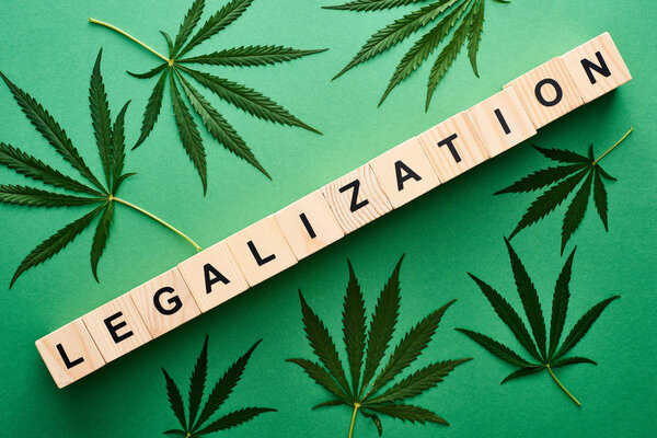 top view of green cannabis leaves and legalization word on wooden blocks on green background