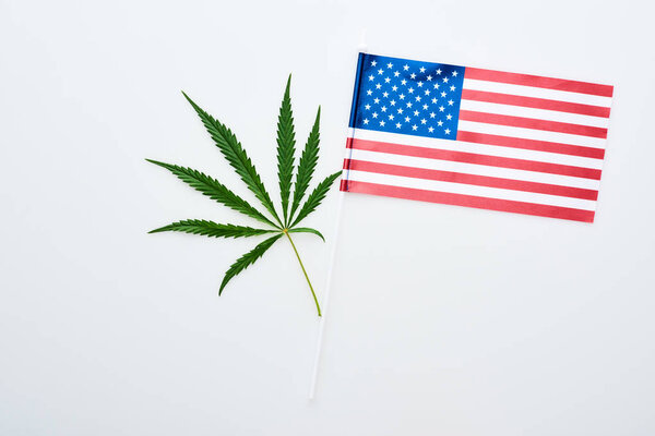 top view of green cannabis leaf near american flag on white background