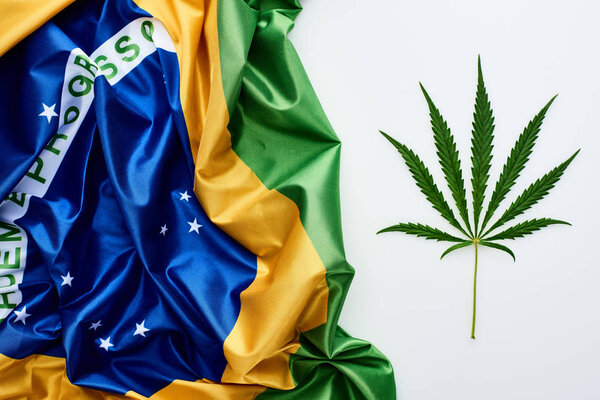 вид на зеленый лист конопли возле флага Бразилии на белом фоне
