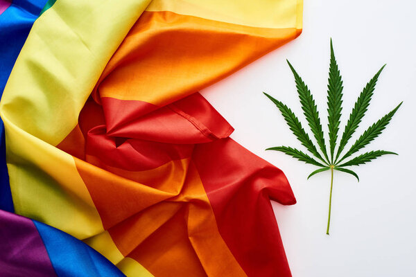 top view of green cannabis leaf near lgbt flag on white background