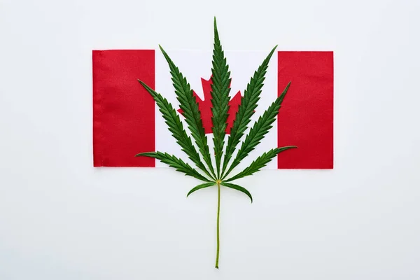 Vista Superior Hoja Cannabis Verde Bandera Canadá Sobre Fondo Blanco — Foto de Stock