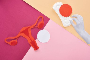 kadın üreme sistemi ve pembe, mor ve bej arka plan üzerinde boş kartlar yakın sıhhi havlu ile beyaz el