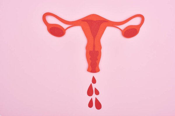 top view of red paper cut female reproductive internal organs with blood drops on pink background 