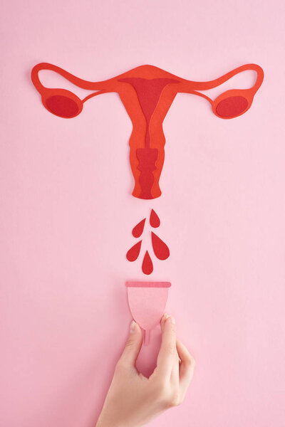 partial view of woman holding menstrual cup near red paper cut female reproductive internal organs with blood drops on pink background