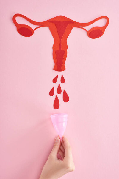 обрезанный вид женщины, держащей менструальную чашку возле красной бумаги, разрезающей женские репродуктивные внутренние органы с капельками крови на розовом фоне
