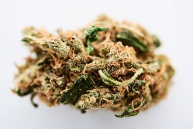 beyaz izole marihuana tomurcuk görünümü yakın