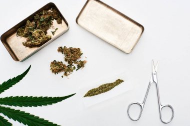 yeşil kenevir yaprağı üst görünümü, haddeleme kağıt, makas ve beyaz izole marihuana tomurcukları 