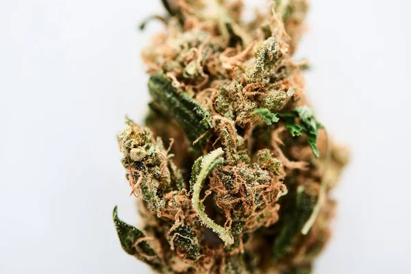 Beyaz Izole Dokulu Marihuana Tomurcuk Görünümü Kadar Yakın — Stok fotoğraf