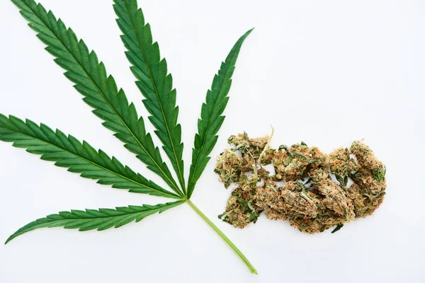 白に隔離された緑の大麻の葉とマリファナの芽のトップビュー — ストック写真