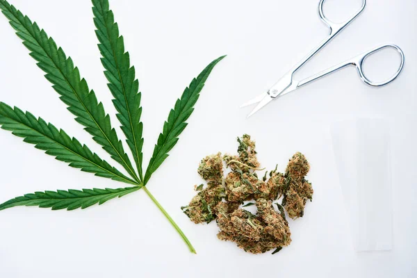 Felülnézet Zöld Cannabis Levél Olló Gördülő Papír Marihuánát Rügyek Elszigetelt — Stock Fotó