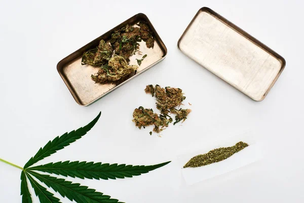 Felülnézet Zöld Kannabisz Levél Gördülő Papír Marihuána Rügyek Izolált Fehér — Stock Fotó