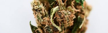 beyaz, panoramik çekim izole dokulu marihuana tomurcuk görünümü ne kadar yakın