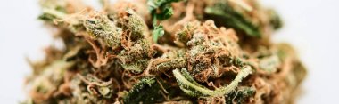 close up view of natural marijuana bud isolated on white, panoramic shot clipart