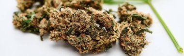beyaz arka plan üzerinde doğal dokulu marihuana tomurcukları yakın görünümü, panoramik çekim