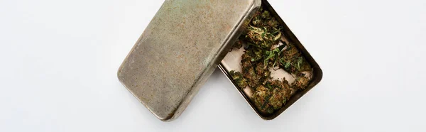 Top View Marijuana Buds Metal Box White Background Panoramic Shot — Stock Photo, Image