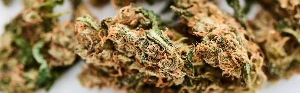 Close View Natural Marijuana Buds White Background Panoramic Shot — Stock Photo, Image