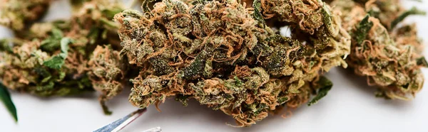Close View Natural Marijuana Buds Scissors White Background Panoramic Shot — Stock Photo, Image