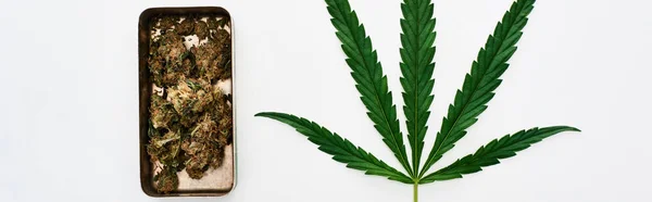 Felülnézet Zöld Kannabisz Levél Marihuána Rügyek Fém Esetben Elszigetelt Fehér — Stock Fotó